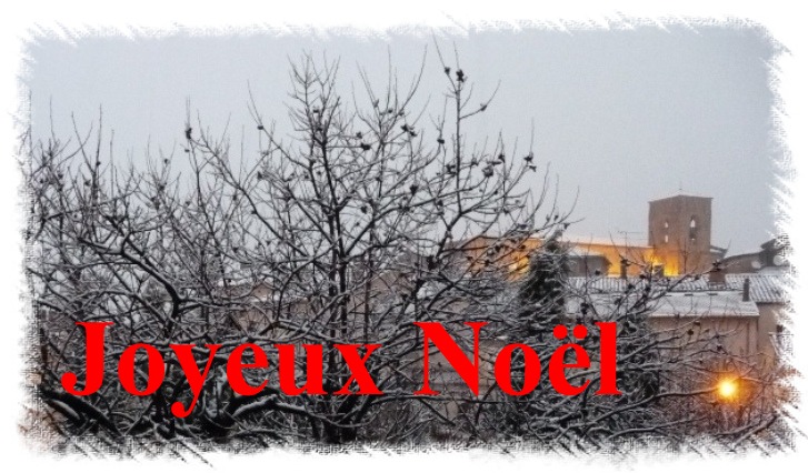 JOYEUX NOEL 2012